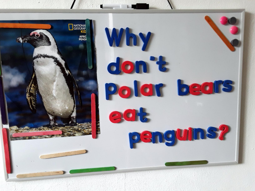 Why don't polar bears eat penguins?