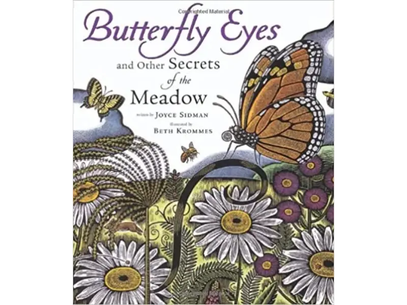 Butterfly Eyes & Other Secrets of the Meadow