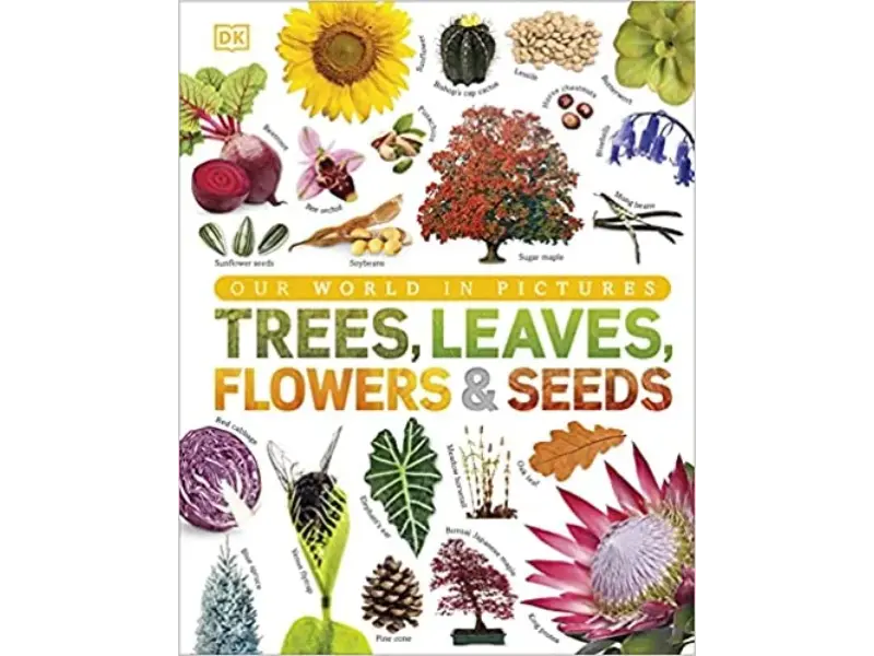 Our World In Pictures: Trees, Leaves Flowers & Seeds.html