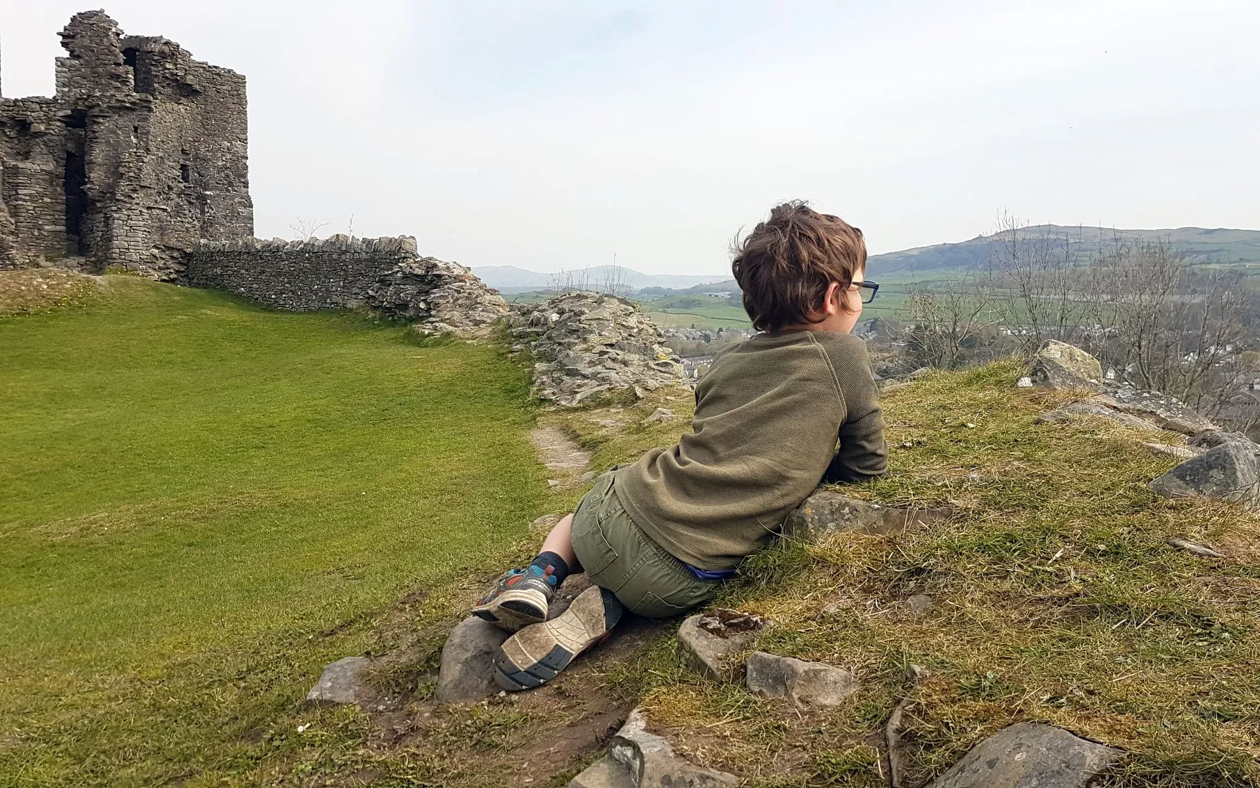Teddy looking over a castle wall.